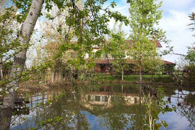  The center 
